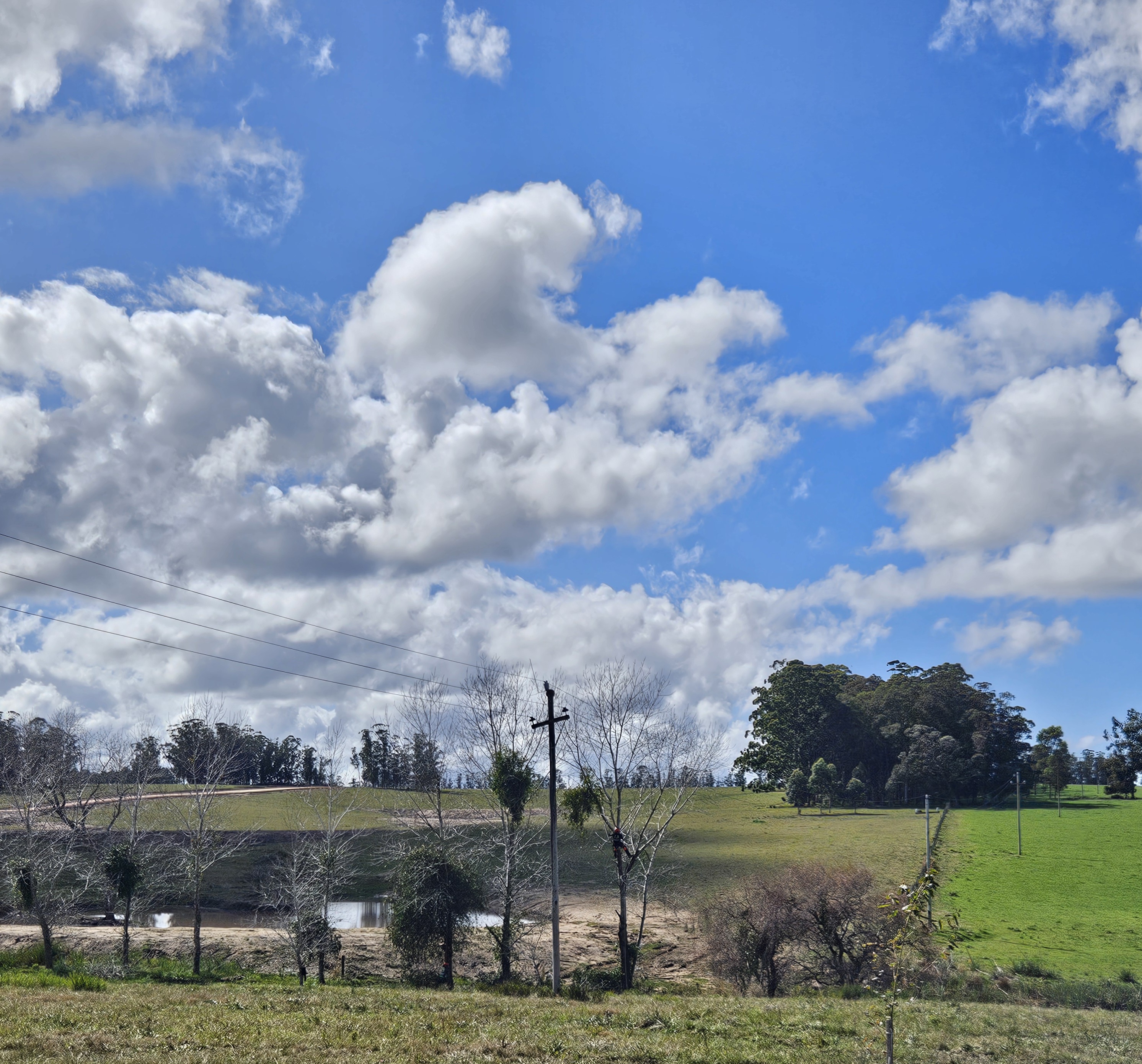 Diario Primera Pagina - Uruguay
