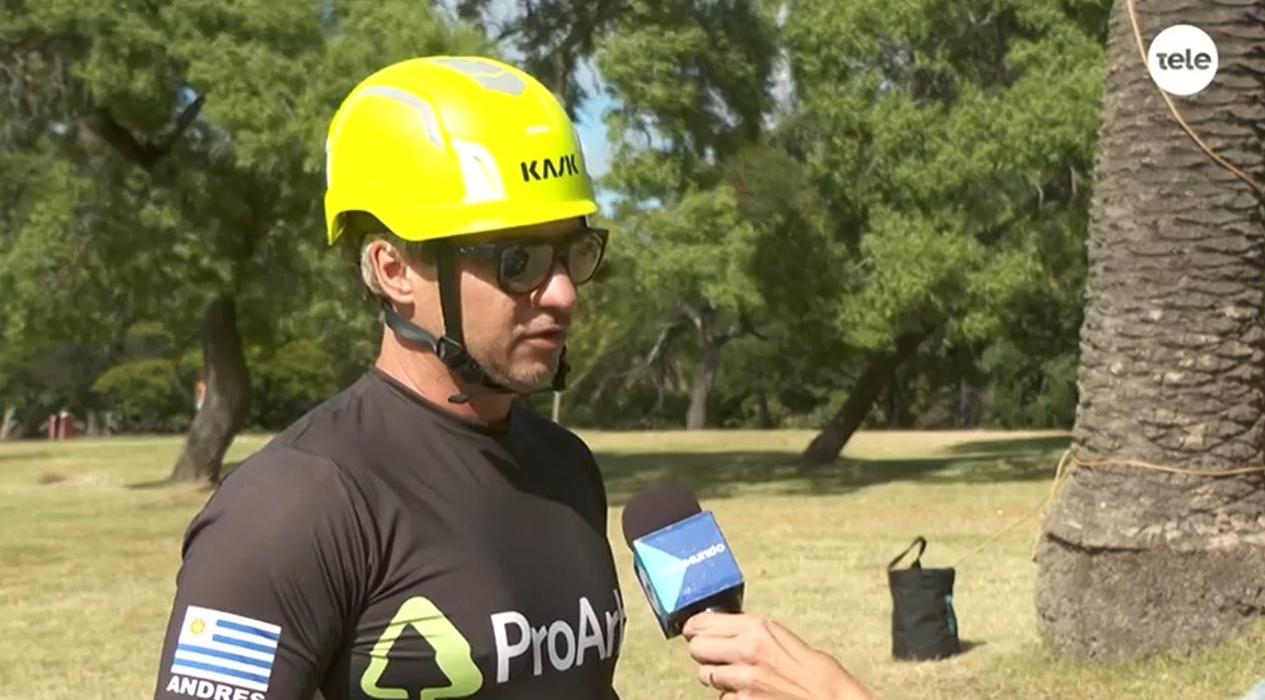 Telemundo 12 - Picudo Rojo