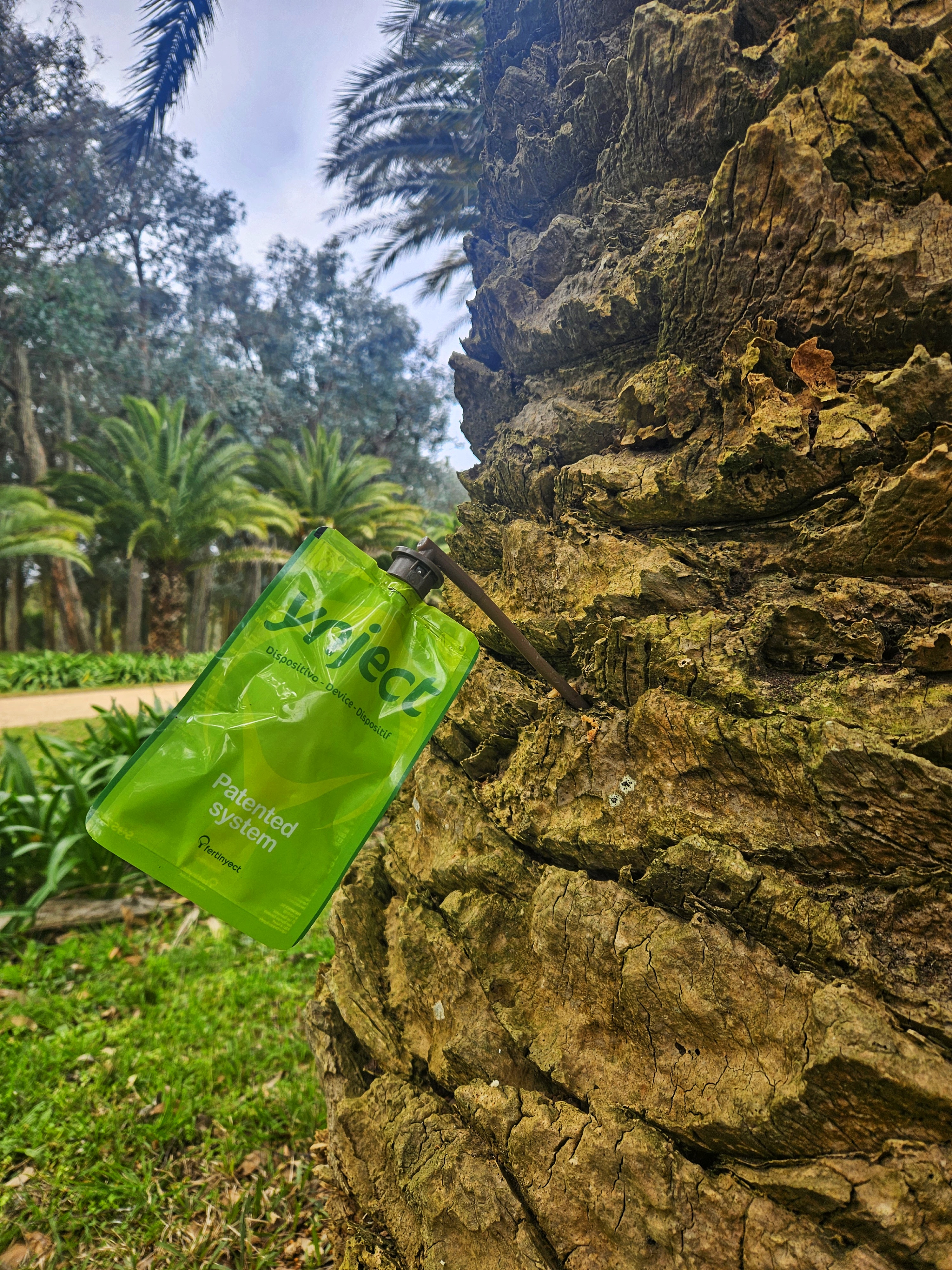 Endoterapia Fertinyect en árboles y palmeras